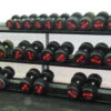 Pioneer Solid Rubber Dumbbell Set -Pullum Dumbbell Set