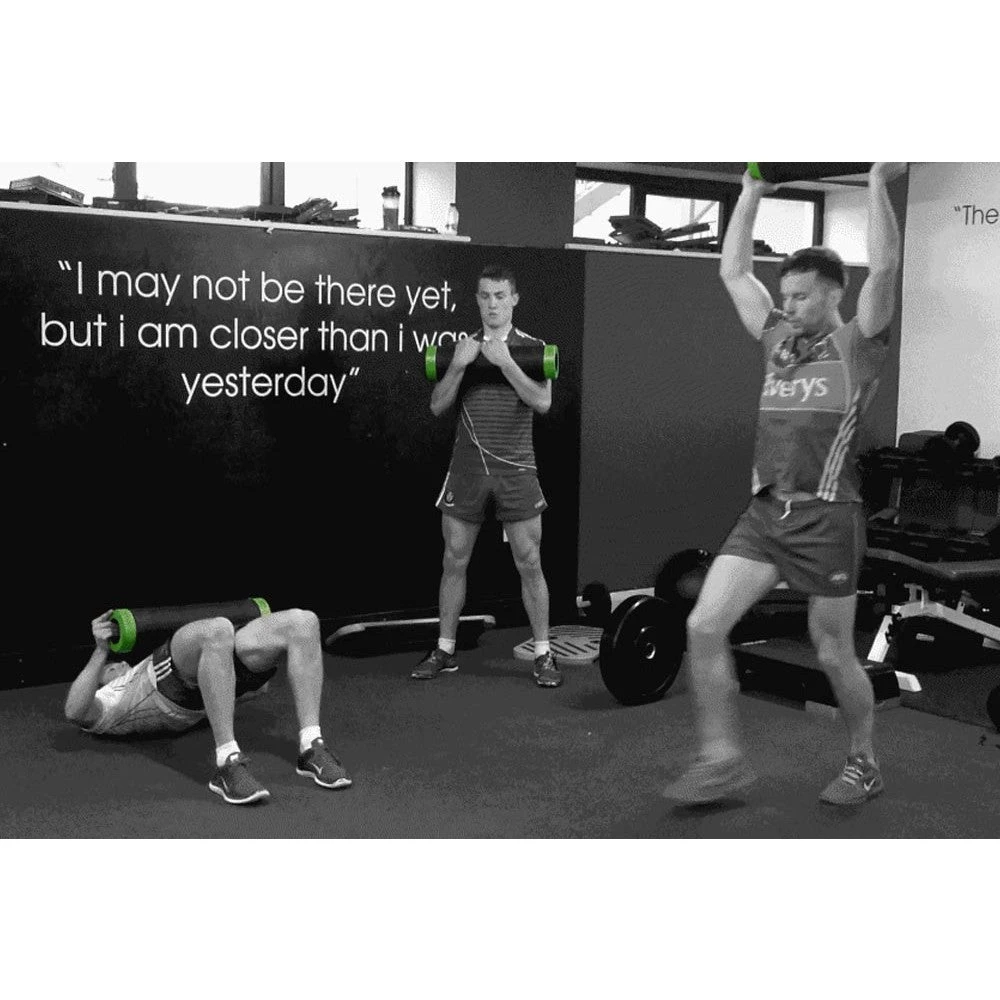 Ram Roller 5 Ram Roller - Image 3